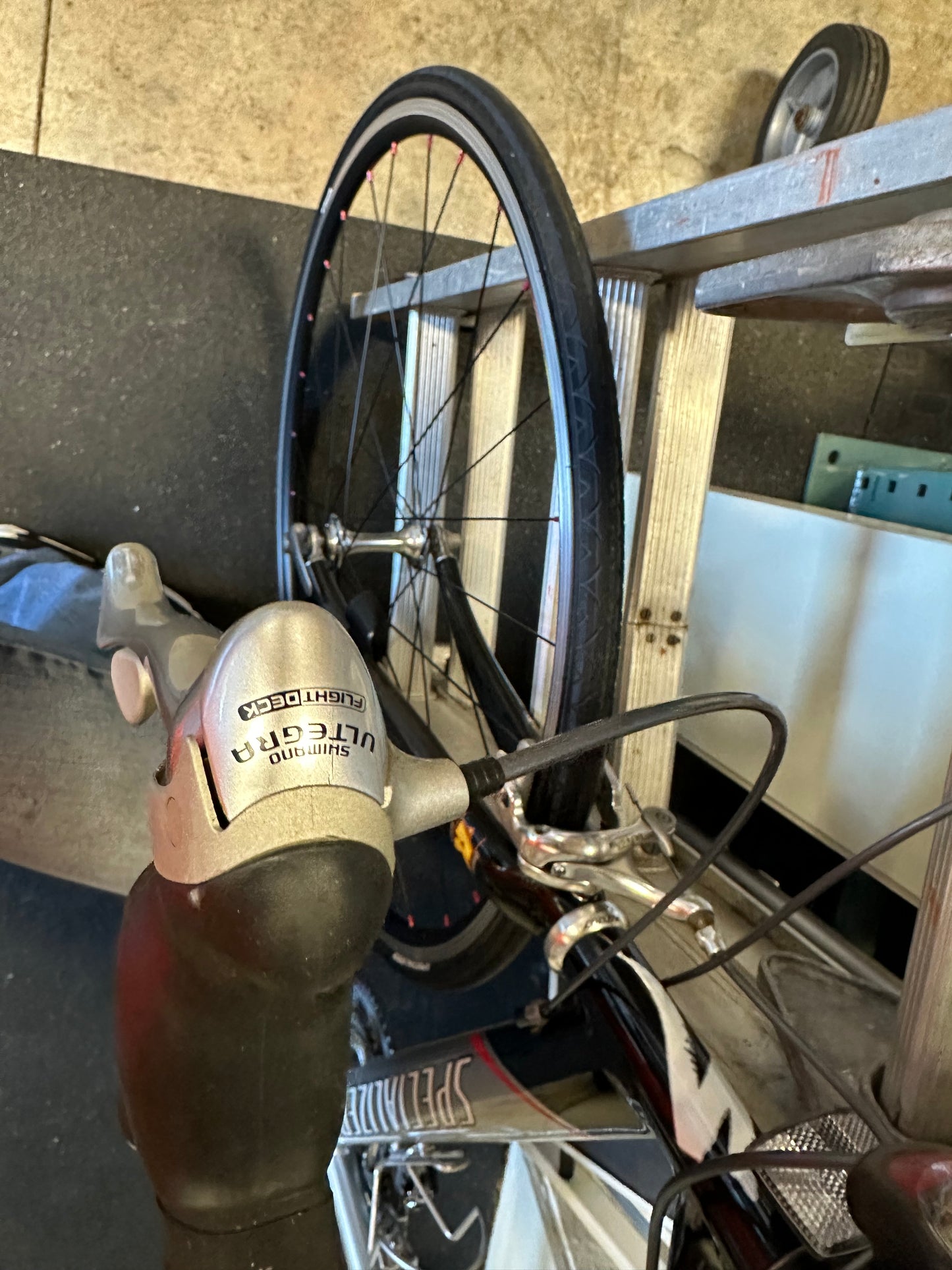 Specialized Allez Comp Road Bike #0397