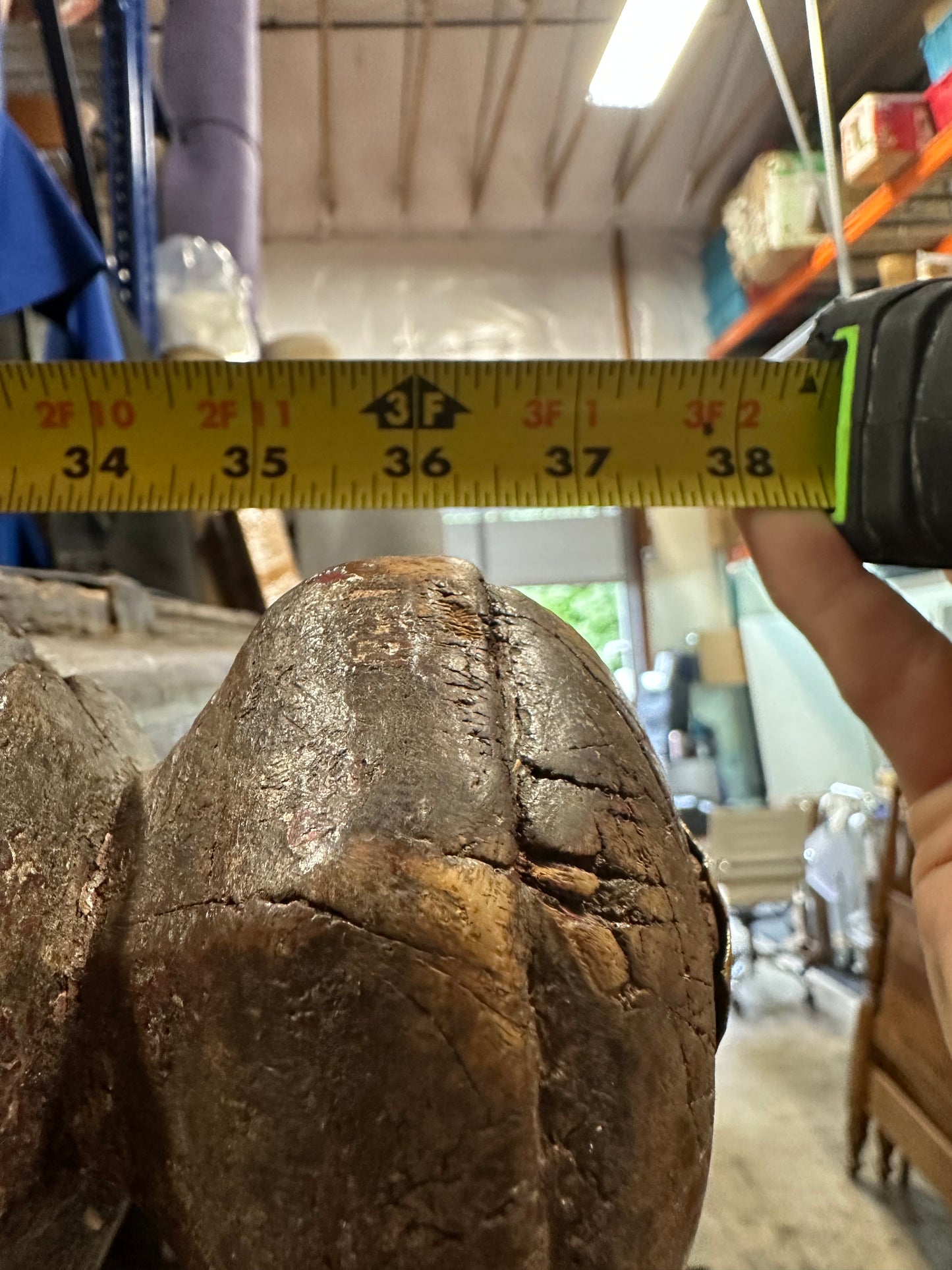 Vintage Carved Loveseat Damchiya Dowry Chest Bench/ Pitara/ Shamli #0722