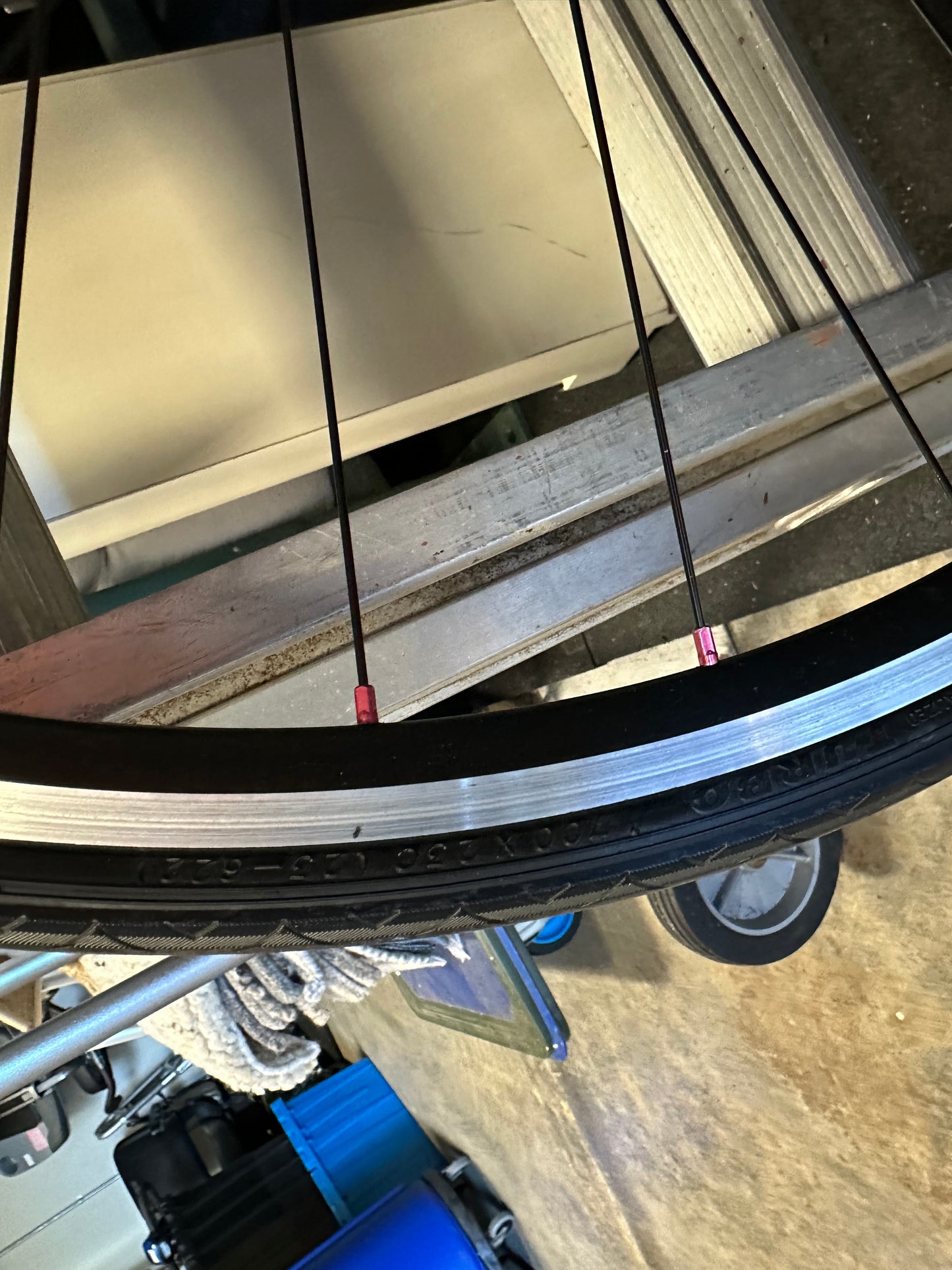 Specialized Allez Comp Road Bike #0397