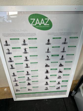 ZAAZ 20K Vibration Plate Exercise Machine. $2400 Brand new #0148