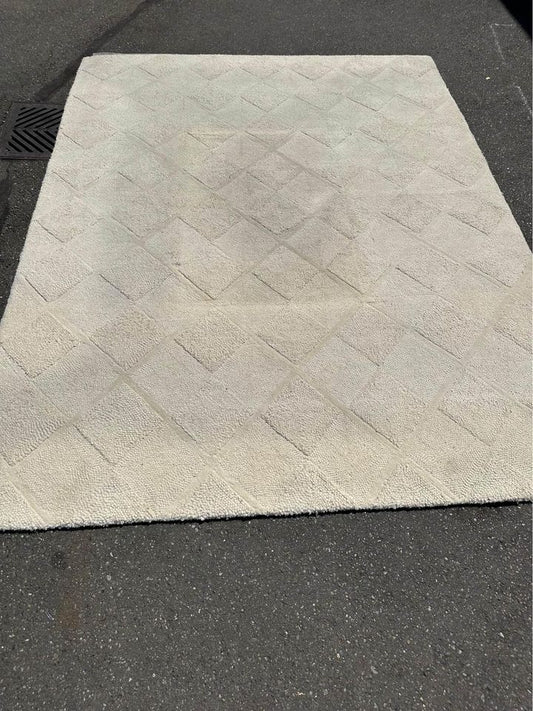 9’ x 12’ Wool Area Rug Beige #0643