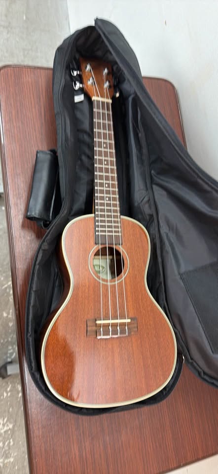 Kala KA-CG Ukulele with soft case